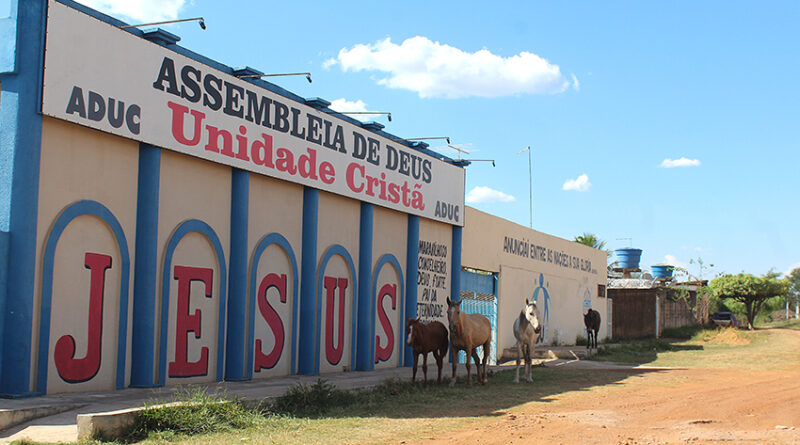 Governo de Cidade Ocidental anuncia operação para retirada de animais de grande porte soltos nas ruas