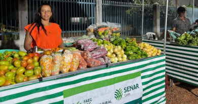 Sexta-feira foi dia de comprar verduras e legumes de qualidade dos produtores rurais ocidentalenses