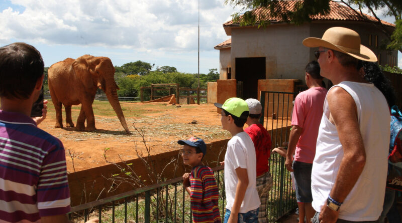 Férias escolares: Zoológico de Brasília abrirá todos os dias em janeiro