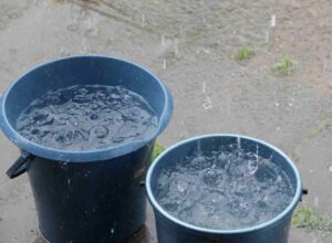 Desabastecimento: moradores de Valparaíso utilizam água da chuva para lavar louças e tomar banho