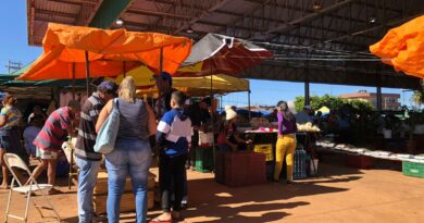 Pombos e falta de manutenção colocam população em risco na Feira Coberta de Cidade Ocidental