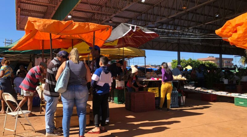 Pombos e falta de manutenção colocam população em risco na Feira Coberta de Cidade Ocidental