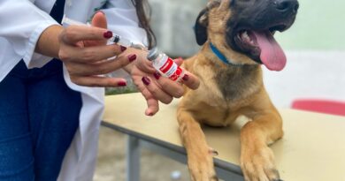 Dia D de Vacinação Antirrábica no Jardim Ingá: Momento para cuidar da saúde do seu pet