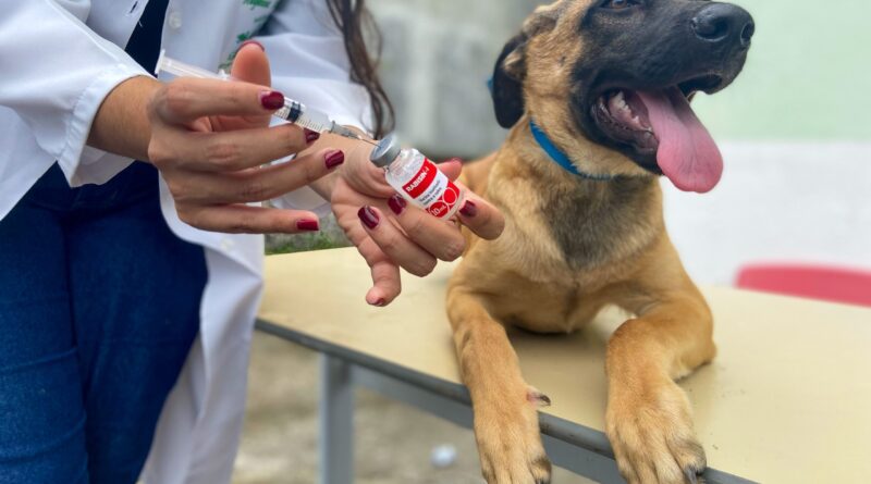 Dia D de Vacinação Antirrábica no Jardim Ingá: Momento para cuidar da saúde do seu pet