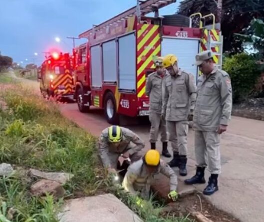 Homem é resgatado de rede de águas pluviais após agressão em Luziânia