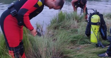 Bombeiros militares de Goiás fizeram buscas e localizaram o corpo da vítima no Lago Corumbá - (crédito: CBMGO)