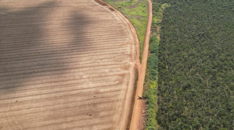 Prefeito Diego Sorgatto anuncia obra da fase final do Anel Viário de Luziânia