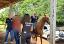 A cavalo, delegado captura homem suspeito de agredir ex-companheira em Luziânia