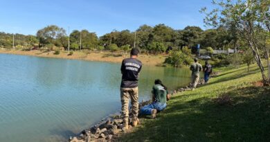 Força-tarefa realiza vistoria no Lago Jacob após vídeo indicar presença de jacaré em Cidade Ocidental Força-tarefa realiza vistoria no Lago Jacob após vídeo indicar presença de jacaré em Cidade Ocidental