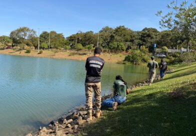 Força-tarefa realiza vistoria no Lago Jacob após vídeo indicar presença de jacaré em Cidade Ocidental Força-tarefa realiza vistoria no Lago Jacob após vídeo indicar presença de jacaré em Cidade Ocidental