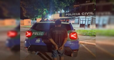Homem que matou mulher a facadas dentro de casa em Novo Gama é preso