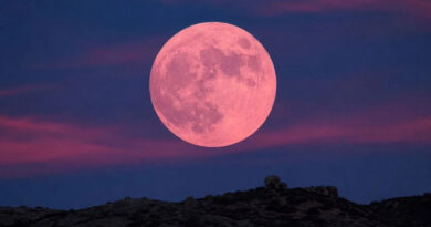 Lua de Morango será visível no Brasil nesta segunda-feira (29); veja horário e como observar
