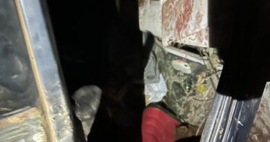 Casal é resgatado após carro cair em ribanceira de 50 metros no Entorno do DF Casal é resgatado após carro cair em ribanceira de 50 metros no Entorno do DF