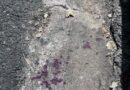 Morador em situação de rua é agredido com pedrada na cabeça em Cidade Ocidental Morador em situação de rua é agredido com pedrada na cabeça em Cidade Ocidental