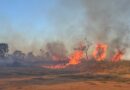 Incêndio de grandes proporções atinge área de vegetação perto da prefeitura de Cidade Ocidental Incêndio de grandes proporções atinge área de vegetação perto da prefeitura de Cidade Ocidental