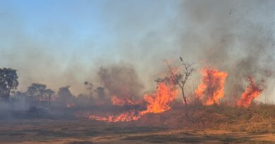 Incêndio de grandes proporções atinge área de vegetação perto da prefeitura de Cidade Ocidental