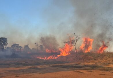 Incêndio de grandes proporções atinge área de vegetação perto da prefeitura de Cidade Ocidental