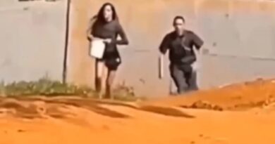 Mulher invade recinto de elefante no Zoológico de Brasília e mobiliza segurança