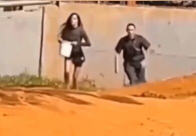 Mulher invade recinto de elefante no Zoológico de Brasília e mobiliza segurança