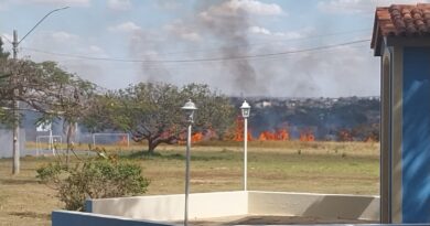 Incêndio atinge área de vegetação no Jardim da Imaculada, em Cidade Ocidental, e mobiliza Defesa Civil e Bombeiros Incêndio atinge área de vegetação no Jardim da Imaculada, em Cidade Ocidental, e mobiliza Defesa Civil e Bombeiros