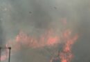 Incêndio atinge 13,8 hectares de vegetação em Cidade Ocidental