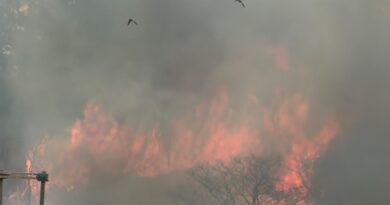 Incêndio atinge 13,8 hectares de vegetação em Cidade Ocidental