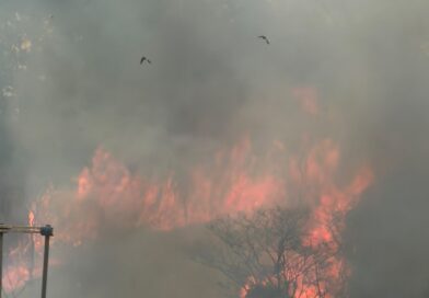 Incêndio atinge 13,8 hectares de vegetação em Cidade Ocidental