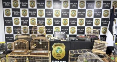 Homem é preso por tráfico de drogas e crime ambiental em Cidade Ocidental Homem é preso por tráfico de drogas e crime ambiental em Cidade Ocidental