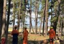 Defesa Civil e Bombeiros atuam no Jardim da Imaculada e pedem atenção redobrada aos fiéis neste sábado