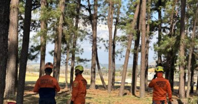 Defesa Civil e Bombeiros atuam no Jardim da Imaculada e pedem atenção redobrada aos fiéis neste sábado