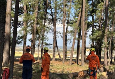 Defesa Civil e Bombeiros atuam no Jardim da Imaculada e pedem atenção redobrada aos fiéis neste sábado
