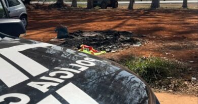Corpo carbonizado de recém-nascido é encontrado no DF; polícia localiza e ouve mãe