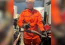 Bombeiros resgatam duas jiboias-arco-íris em residências de Novo Gama
