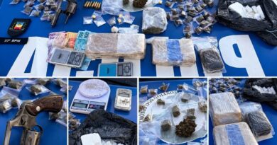 Polícia Militar apreende arma e drogas em distribuidora na Cidade Ocidental Polícia Militar apreende arma e drogas em distribuidora na Cidade Ocidental